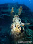 scuba diving photo