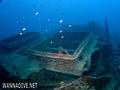 scuba diving photo