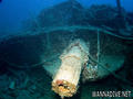 scuba diving photo