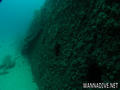 scuba diving photo
