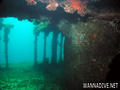 scuba diving photo