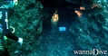 scuba diving photo