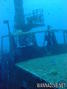 scuba diving photo