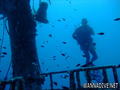 scuba diving photo