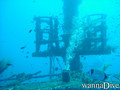 scuba diving photo
