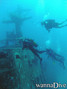 scuba diving photo