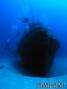 scuba diving photo