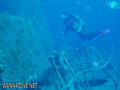 scuba diving photo