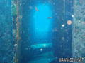 scuba diving photo