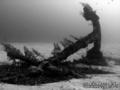 scuba diving photo