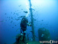 scuba diving photo