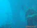 scuba diving photo