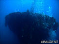 scuba diving photo