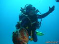 scuba diving photo