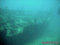 scuba diving photo