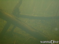 scuba diving photo