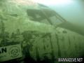 scuba diving photo