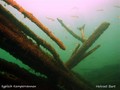 scuba diving photo