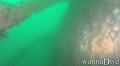 scuba diving photo