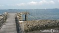scuba diving photo