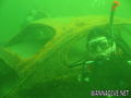 scuba diving photo