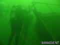 scuba diving photo