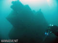 scuba diving photo