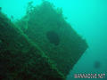 scuba diving photo