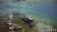scuba diving photo