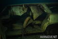 scuba diving photo