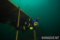 scuba diving photo