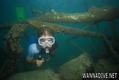 scuba diving photo