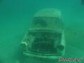 scuba diving photo