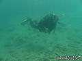 scuba diving photo