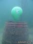 scuba diving photo