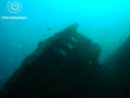 scuba diving photo