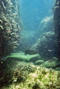 scuba diving photo