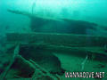 scuba diving photo