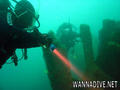 scuba diving photo