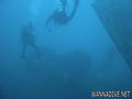 scuba diving photo