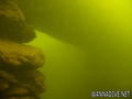 scuba diving photo