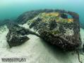 scuba diving photo