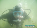 scuba diving photo