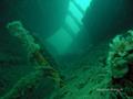 scuba diving photo