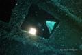 scuba diving photo