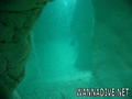 scuba diving photo