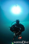 scuba diving photo