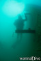 scuba diving photo