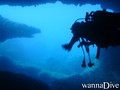 scuba diving photo