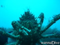 scuba diving photo
